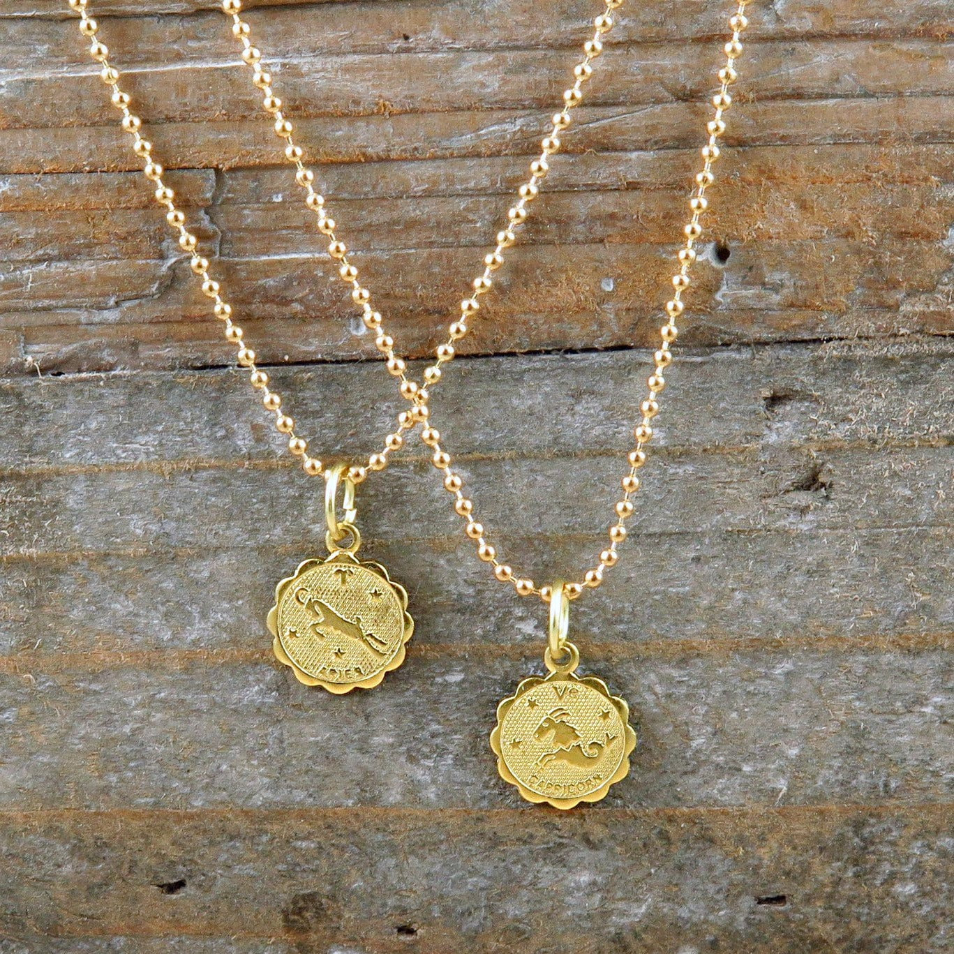 Zodiac Charm Necklace in Gold